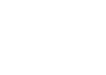 bean illustration